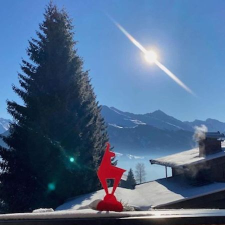 Dream Panorama Chalet Top10 Right In The Ski ミッタージル エクステリア 写真